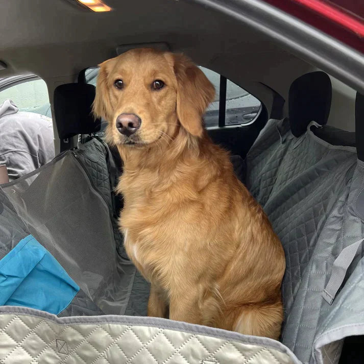 ToutouGuard™ - Housse de Siège Auto pour Chiens